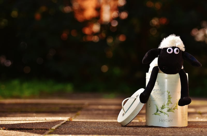 Tin Cans Planters