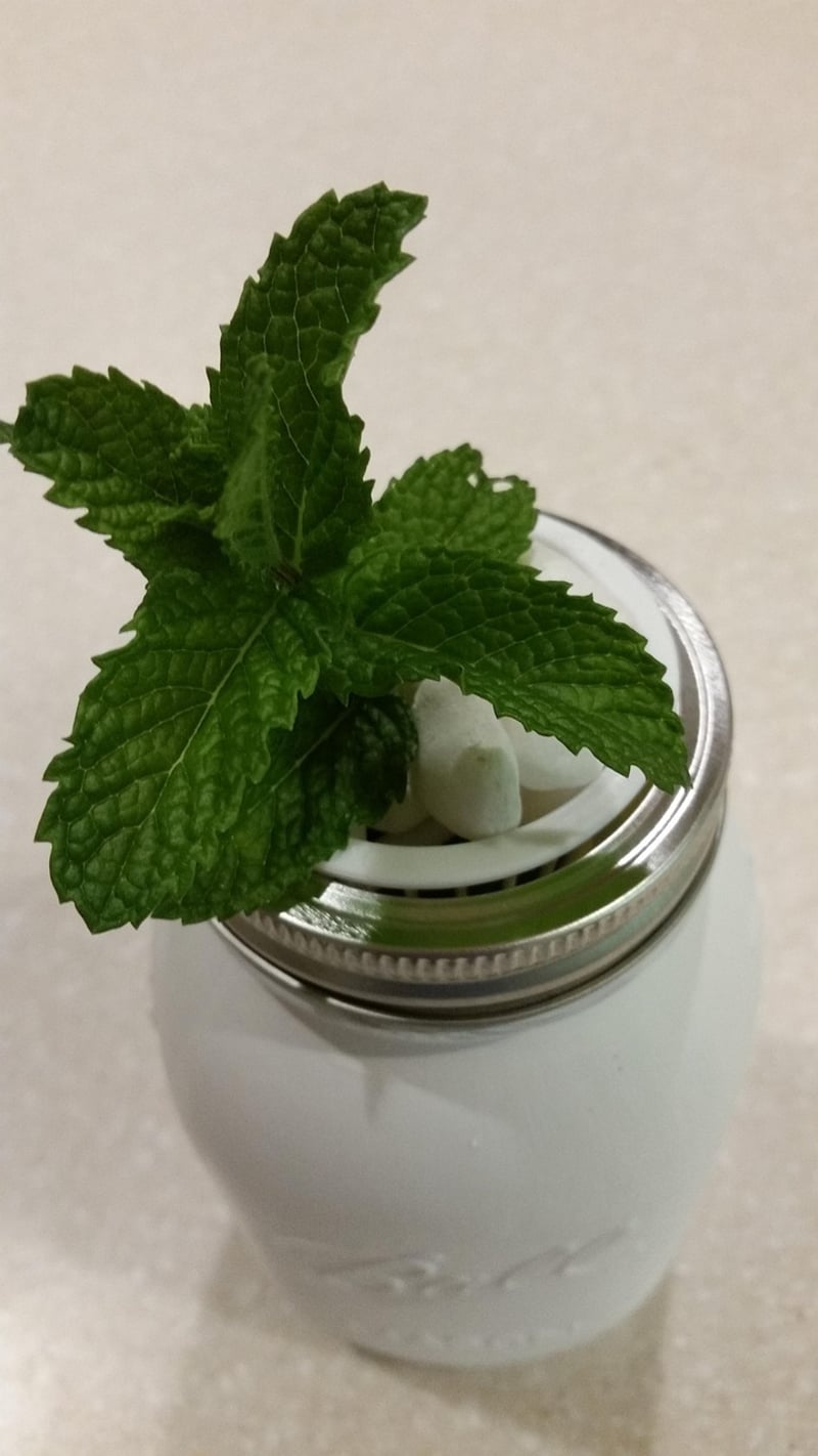 Mason Jar Planter