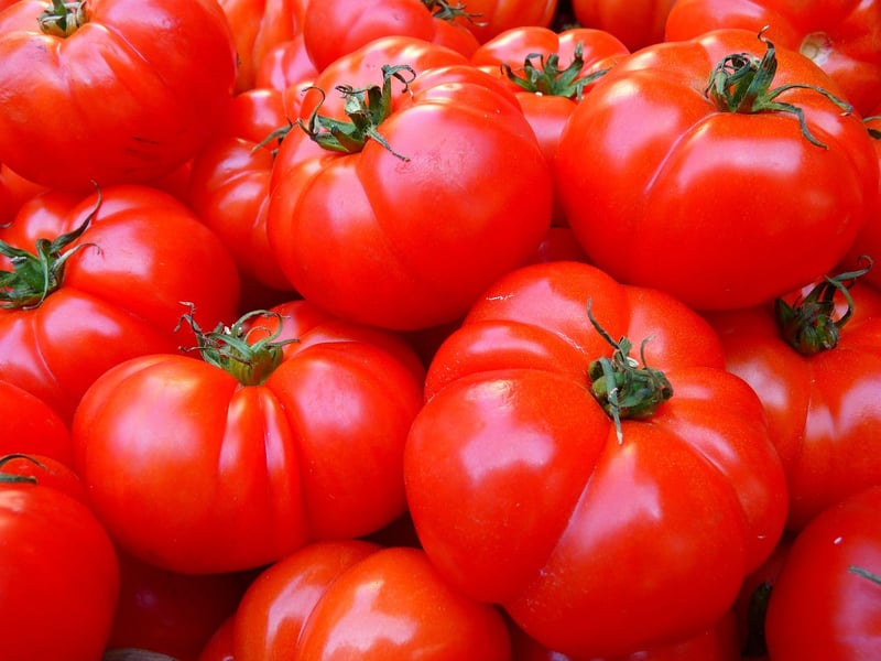 Ripe Tomatoes